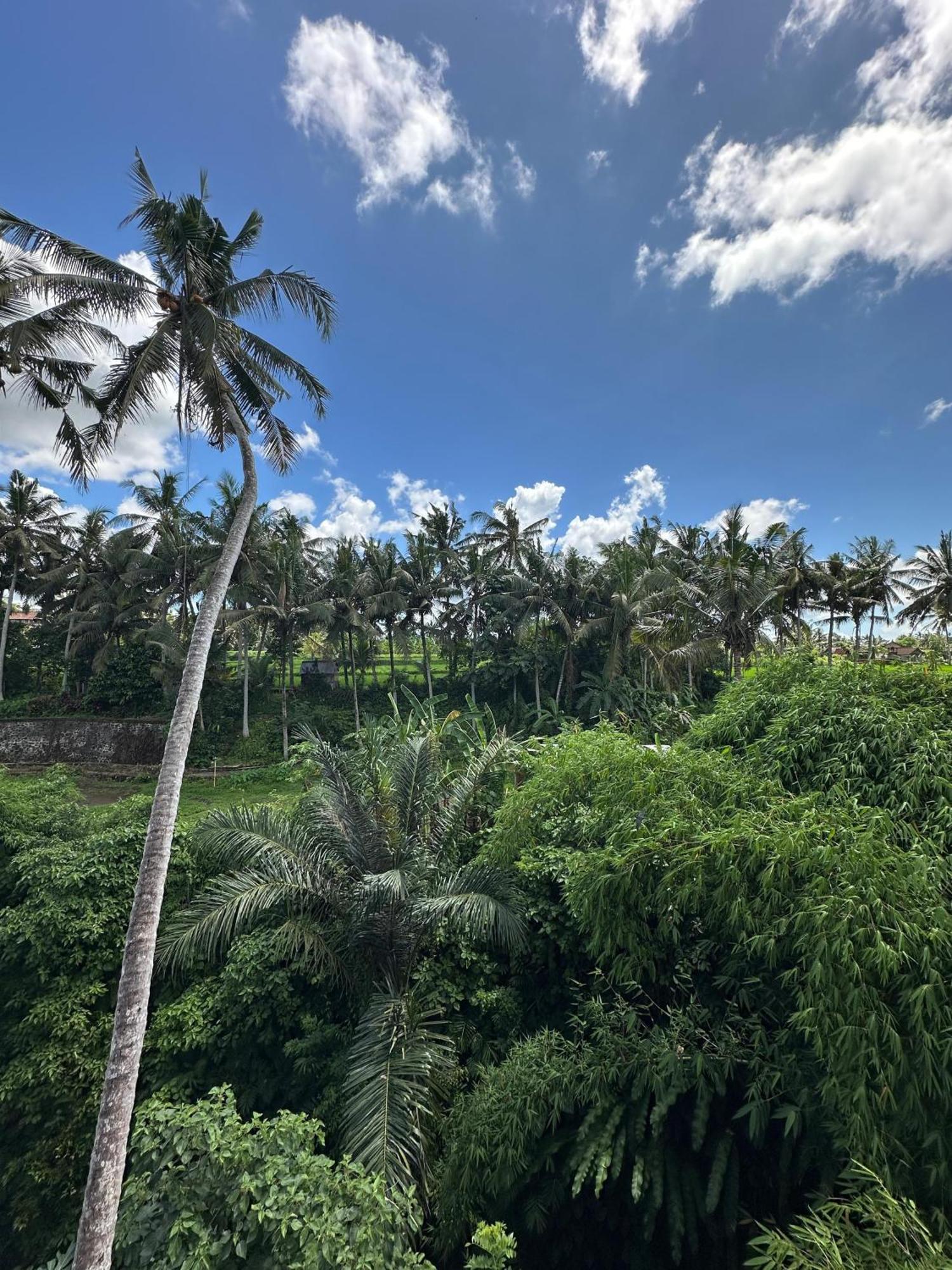 Tagel Karsa House Otel Ubud Dış mekan fotoğraf